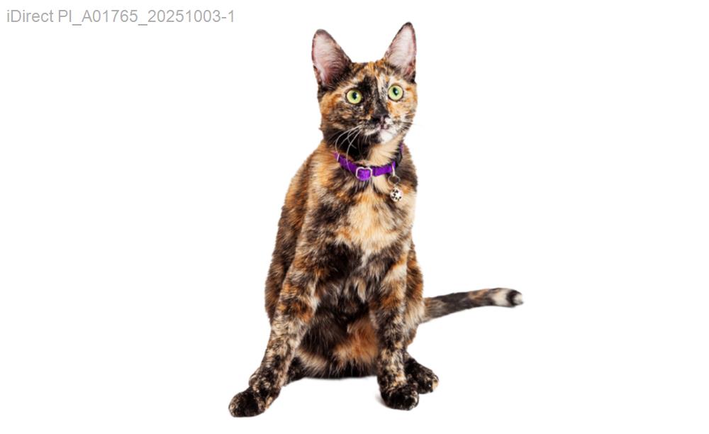 2023最全台灣毛孩照護用品價格比較，給寵物最好的選擇！示意圖